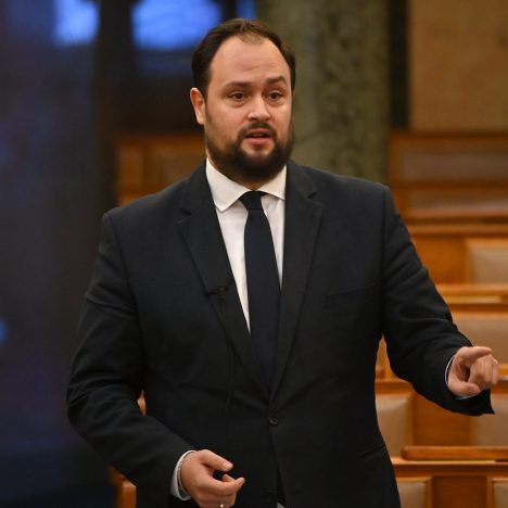 Yet another Hungarian politician representing the ruling party has been denied entry to Ukraine. All the details of the incident