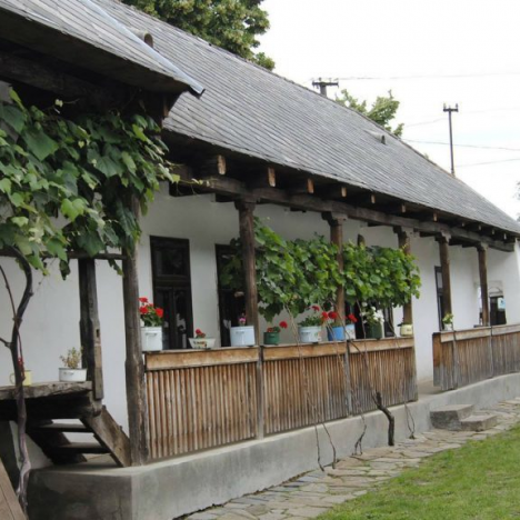 Колишній фермерський будинок на Берегівщині отримав статус заміського будинку року в Угорщині