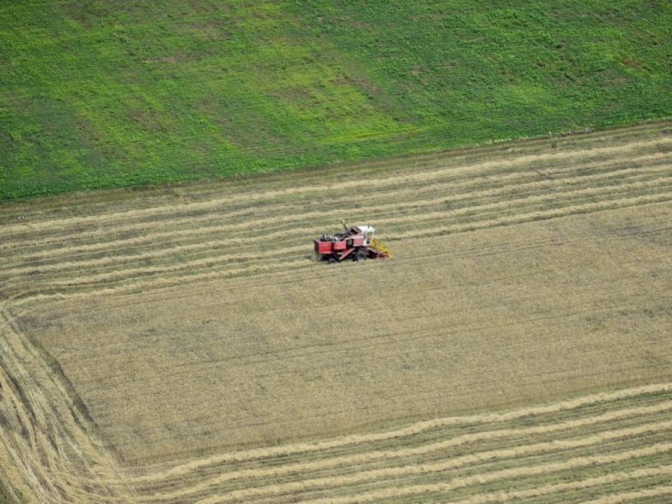 У Румунії один гектар землі коштує дорожче, ніж у Франції чи Угорщині – Євростат