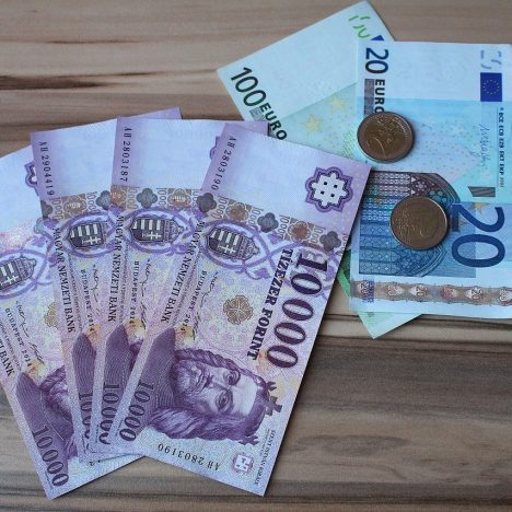 Угорці та румуни виступають за введення євро у якості спільної валюти