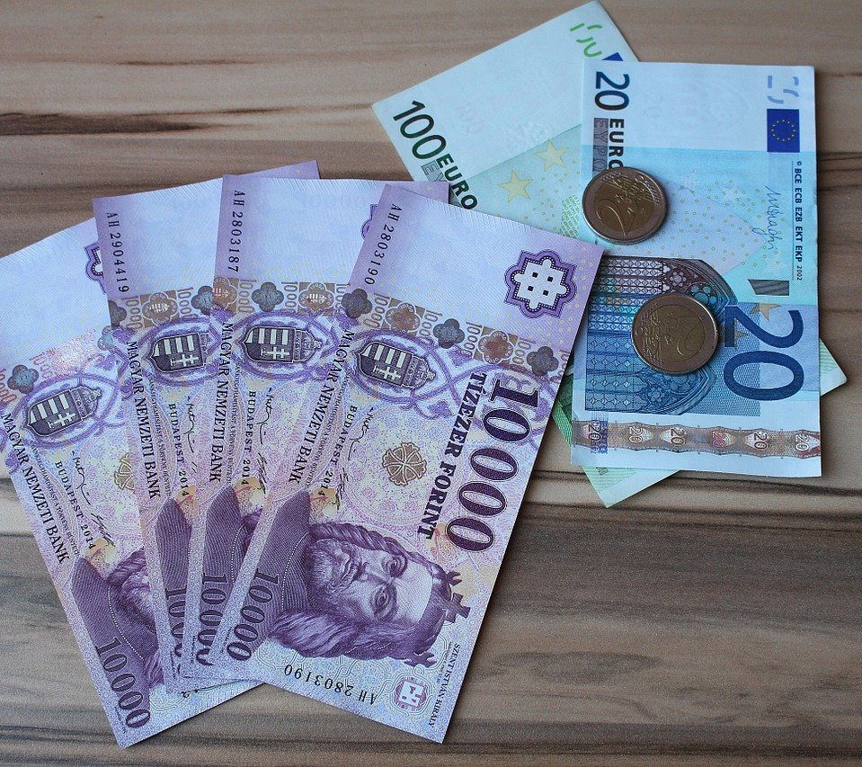 Угорці та румуни виступають за введення євро у якості спільної валюти