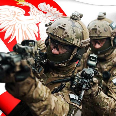 Більшість поляків підтримують ідею миротворчої місії в Україні за участі польських військових – соцопитування