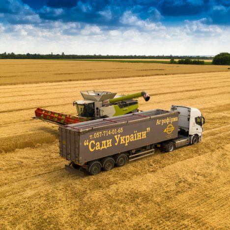 Заборона імпорту в найближчі країни Європи: що не так з українським зерном і який вихід?