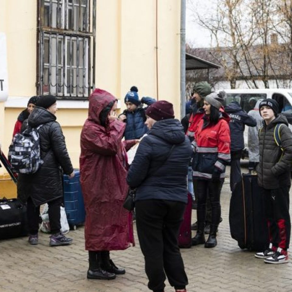 Українці працевлаштовуються на роботу за кордоном: пік зайнятості серед переселенців у Румунії та Словаччині